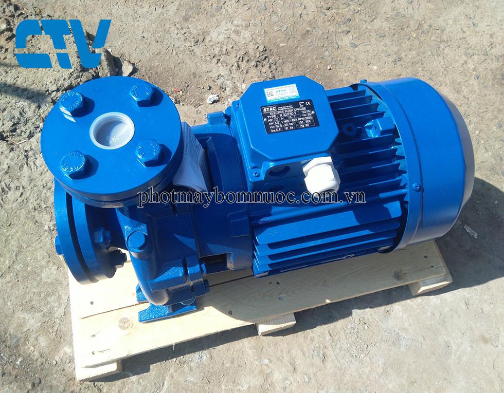 Nơi cung cấp máy bơm nước nhập khẩu Stac Italy chính hãng, giá tốt