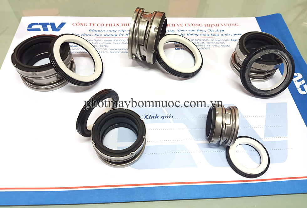 Phớt máy bơm Teral các hãng
