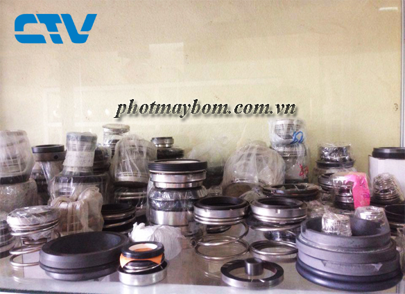 Dịch vụ thay phớt máy bơm nước nhanh chóng, chuyên nghiệp tại Hà Nội