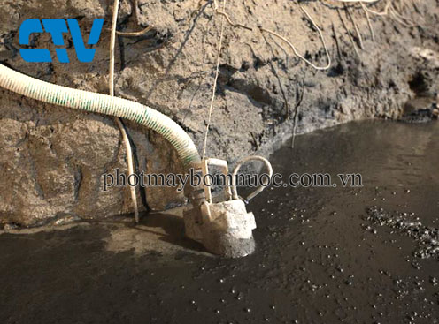 Cho thuê máy bơm nước - Nhanh, rẻ, đáng tin cậy